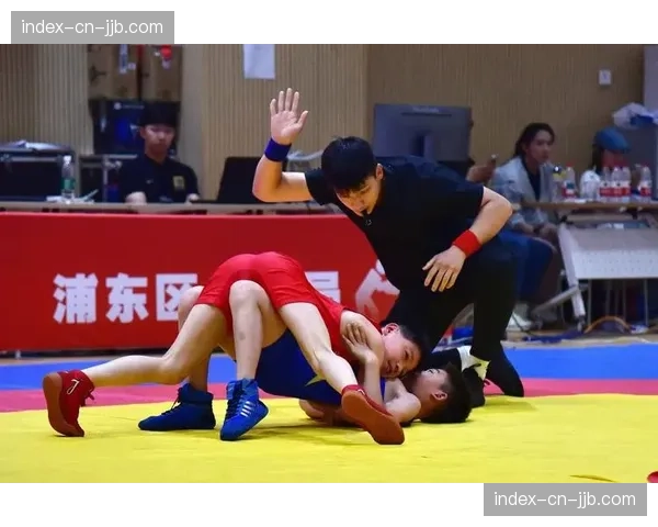 专家观点：现代MMA比赛中，摔跤与缠斗技术的重要性是否被过度高估？